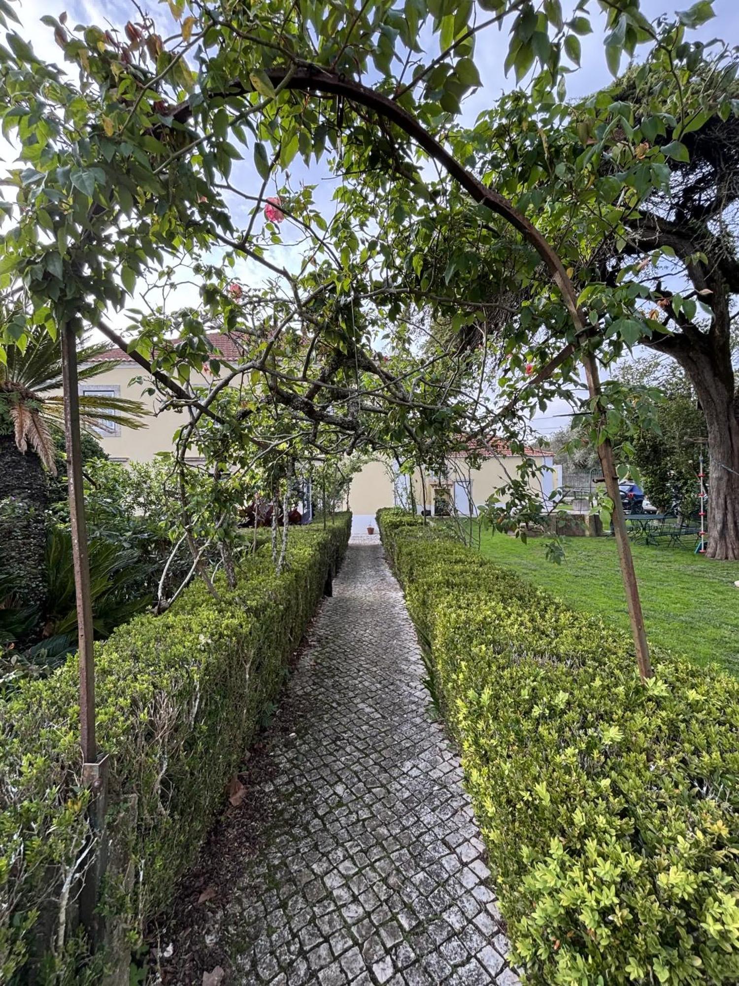 Quinta Do Scoto Panzió Rinchoa Kültér fotó